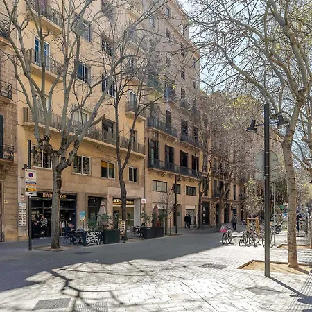 Canela Homes Modernista